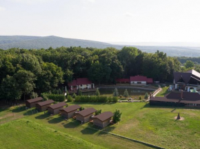 Complex HAMAK